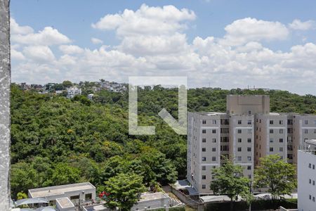 Apartamento à venda com 2 quartos, 64m² em Cabral, Contagem
