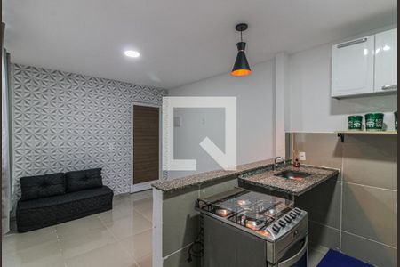 Cozinha de apartamento para alugar com 1 quarto, 45m² em Recreio dos Bandeirantes, Rio de Janeiro