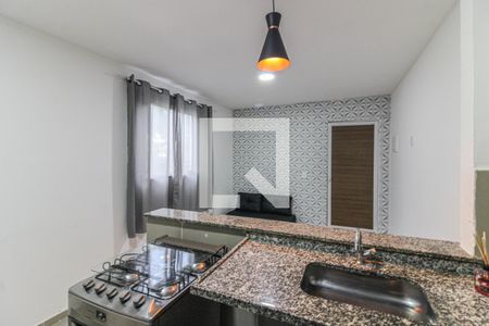 Cozinha de apartamento para alugar com 1 quarto, 45m² em Recreio dos Bandeirantes, Rio de Janeiro