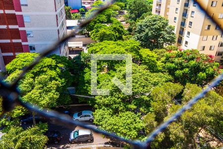 VISTA DA VARANDA DA SALA de apartamento para alugar com 3 quartos, 92m² em Bonfim, Campinas