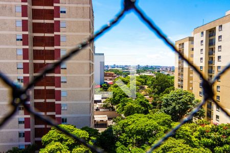 VISTA DA SALA de apartamento para alugar com 3 quartos, 92m² em Bonfim, Campinas