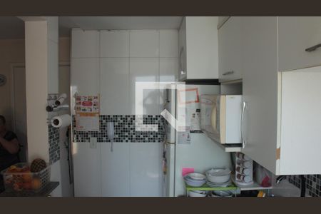 Cozinha de apartamento para alugar com 2 quartos, 48m² em Jardim Ampliação, São Paulo