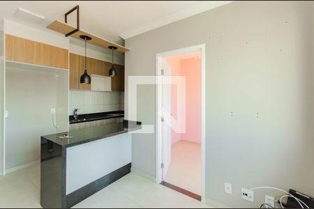 Sala de apartamento para alugar com 2 quartos, 33m² em Cambuci, São Paulo