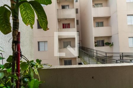 Vista da Sala de apartamento à venda com 2 quartos, 56m² em Montanhão, São Bernardo do Campo