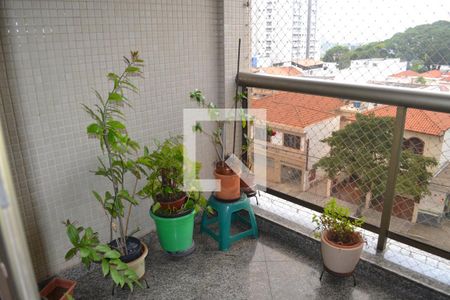 sacada sala de apartamento à venda com 3 quartos, 220m² em Olímpico, São Caetano do Sul