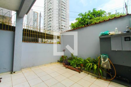 Studio à venda com 300m², 3 quartos e 3 vagas Studio à venda com 300m², 3 quartos e 3 vagasQuintal
