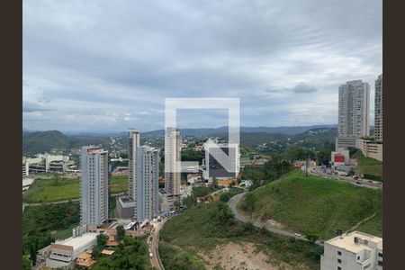 Apartamento à venda com 3 quartos, 131m² em Vila Das Flores, Nova Lima