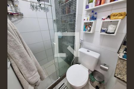 Banheiro da Suíte de apartamento para alugar com 2 quartos, 48m² em Quintino Bocaiúva, Rio de Janeiro