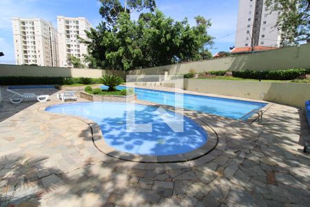 Área comum - Piscina de apartamento para alugar com 2 quartos, 69m² em Parque Reboucas, São Paulo