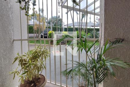 Varanda da Sala de apartamento para alugar com 2 quartos, 58m² em Vila Lemos, Campinas