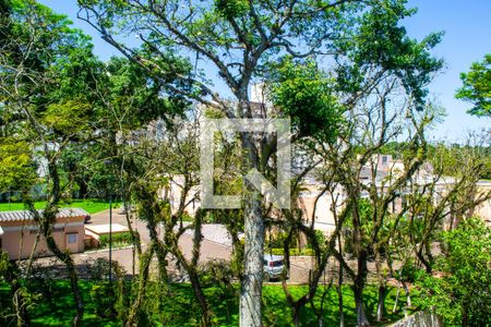 Vista do Quarto 1 de apartamento para alugar com 1 quarto, 40m² em Vila Nova, Porto Alegre