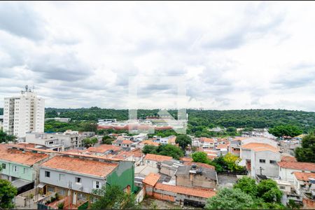 Vista da Varanda de apartamento para alugar com 1 quarto, 47m² em Vila Fachini, São Paulo