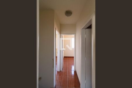 Corredor de casa para alugar com 3 quartos, 82m² em Santa Amelia, Belo Horizonte