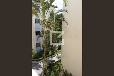 Vista Sala de apartamento para alugar com 2 quartos, 70m² em Vila Liviero, São Paulo
