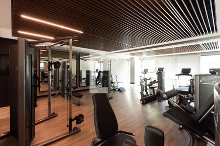 Apartamento à venda com 374m², 5 quartos e 5 vagas Apartamento à venda com 374m², 5 quartos e 5 vagasÁrea comum - Academia
