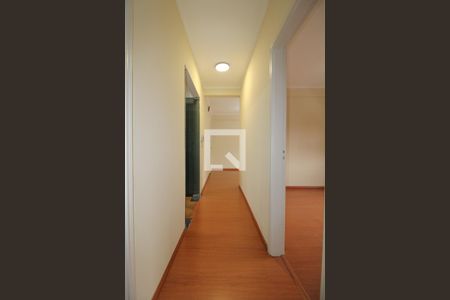 Corredor de apartamento para alugar com 2 quartos, 72m² em Jardim Proença, Campinas