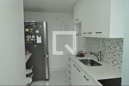 Cozinha de apartamento para alugar com 2 quartos, 60m² em Riachuelo, Rio de Janeiro