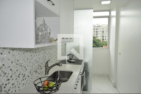 Cozinha de apartamento para alugar com 2 quartos, 60m² em Riachuelo, Rio de Janeiro