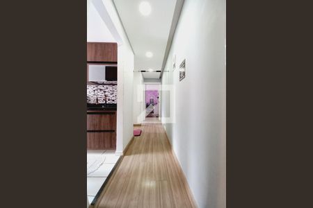 Corredor  de apartamento à venda com 2 quartos, 54m² em Jardim das Bandeiras, Campinas