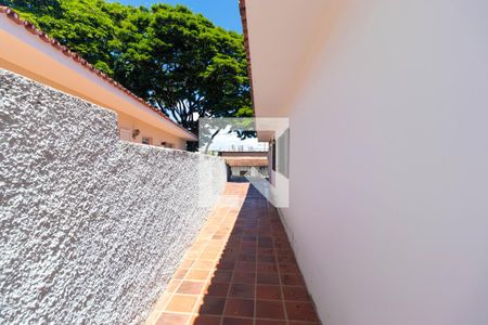 Casa para alugar com 225m², 4 quartos e 2 vagas Casa para alugar com 225m², 4 quartos e 2 vagasQuintal