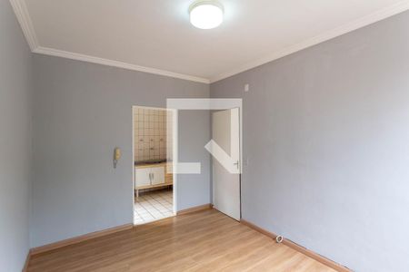 Sala de apartamento à venda com 2 quartos, 43m² em Santa Amélia, Belo Horizonte