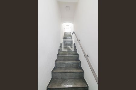 Escada de Acesso de casa para alugar com 4 quartos, 367m² em Jardim Stella, Santo André