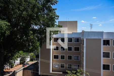 Vista de apartamento para alugar com 2 quartos, 48m² em Paraisópolis, São Paulo