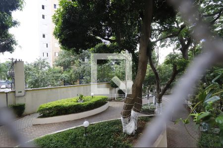 Vista de apartamento para alugar com 2 quartos, 46m² em Jardim Centenario, São Paulo