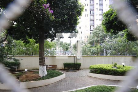 Vista de apartamento para alugar com 2 quartos, 46m² em Jardim Centenario, São Paulo