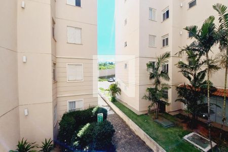 Vista do Quarto 1  de apartamento para alugar com 2 quartos, 61m² em Jardim São Vicente, Campinas