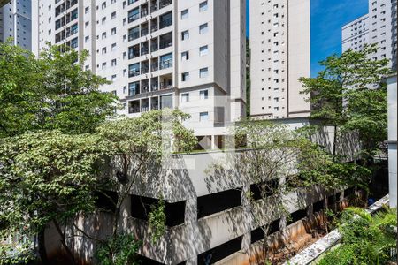 Vista de apartamento para alugar com 2 quartos, 48m² em Marapé, Santos