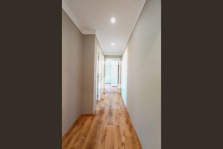 Corredor  de apartamento para alugar com 2 quartos, 60m² em Jardim Nova Europa, Campinas