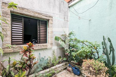 Jardim de inverno de casa à venda com 4 quartos, 221m² em Rudge Ramos, São Bernardo do Campo