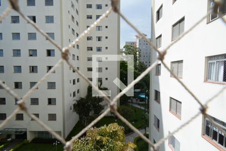 Vista da Sala de apartamento para alugar com 3 quartos, 74m² em Vila São Paulo, São Paulo