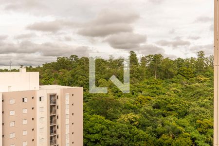 Sacada da Sala de apartamento para alugar com 2 quartos, 40m² em Jardim Ibirapuera, Campinas
