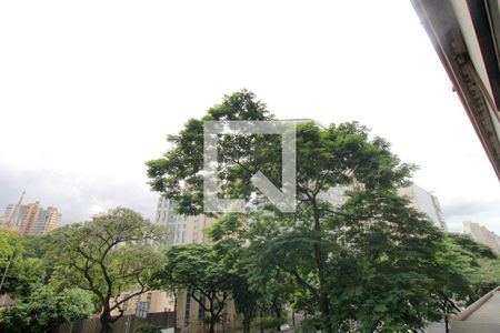 Vista da Sala de apartamento à venda com 3 quartos, 115m² em Funcionários, Belo Horizonte