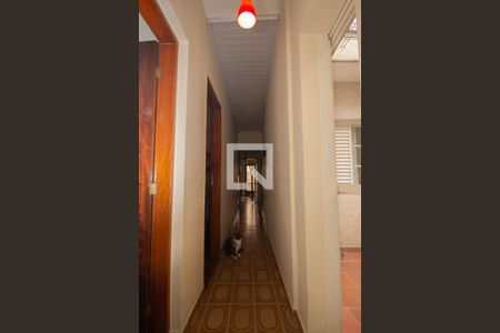 Corredor de casa à venda com 4 quartos, 146m² em Vila Palmeiras, São Paulo
