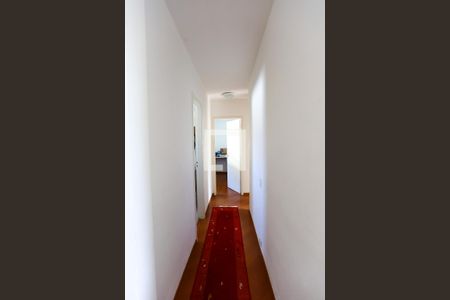 corredor de apartamento para alugar com 3 quartos, 66m² em Jardim Santa Efigenia, São Paulo