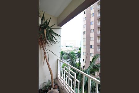 Sala Sacada  de apartamento à venda com 3 quartos, 70m² em Baeta Neves, São Bernardo do Campo