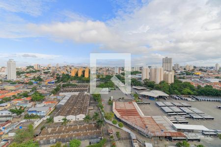 Vista de apartamento para alugar com 1 quarto, 24m² em Vila Nova das Belezas, São Paulo