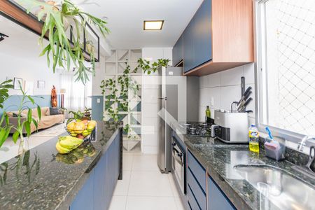 Cozinha de apartamento à venda com 3 quartos, 84m² em Havaí, Belo Horizonte