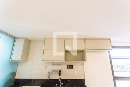 Armário da Cozinha de apartamento para alugar com 2 quartos, 70m² em Funcionários, Belo Horizonte