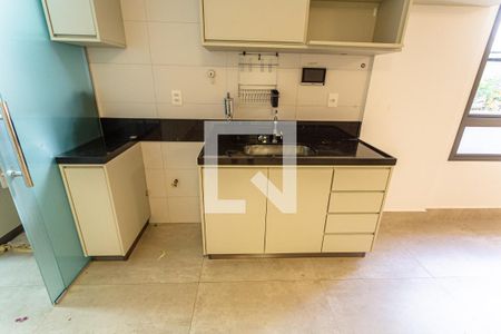 Armário da Cozinha de apartamento para alugar com 2 quartos, 70m² em Funcionários, Belo Horizonte