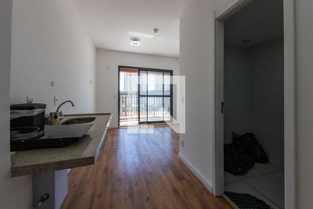 Cozinha de apartamento para alugar com 1 quarto, 24m² em Jardim Independência, São Paulo