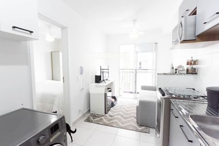 Apartamento para alugar com 30m², 1 quarto e sem vagaSala/ Cozinha 