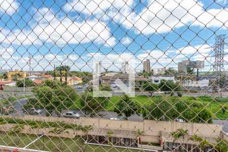 Vista Sala de Estar/Jantar  de apartamento para alugar com 3 quartos, 109m² em Jardim das Paineiras, Campinas