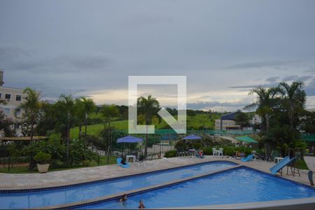 Área comum - Piscina de apartamento à venda com 3 quartos, 74m² em Camargos, Belo Horizonte