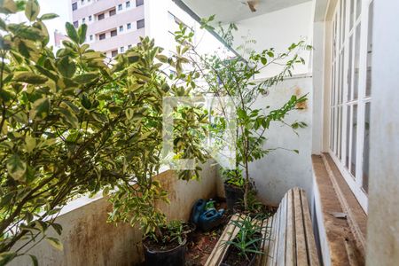 Varanda da Sala de apartamento à venda com 3 quartos, 90m² em Santa Efigênia, Belo Horizonte