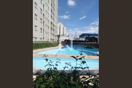 Apartamento à venda com 3 quartos, 50m² em Vila Guilherme, São Paulo