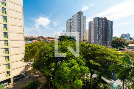 Vista da Sala de apartamento para alugar com 3 quartos, 78m² em Vila Campestre, São Paulo